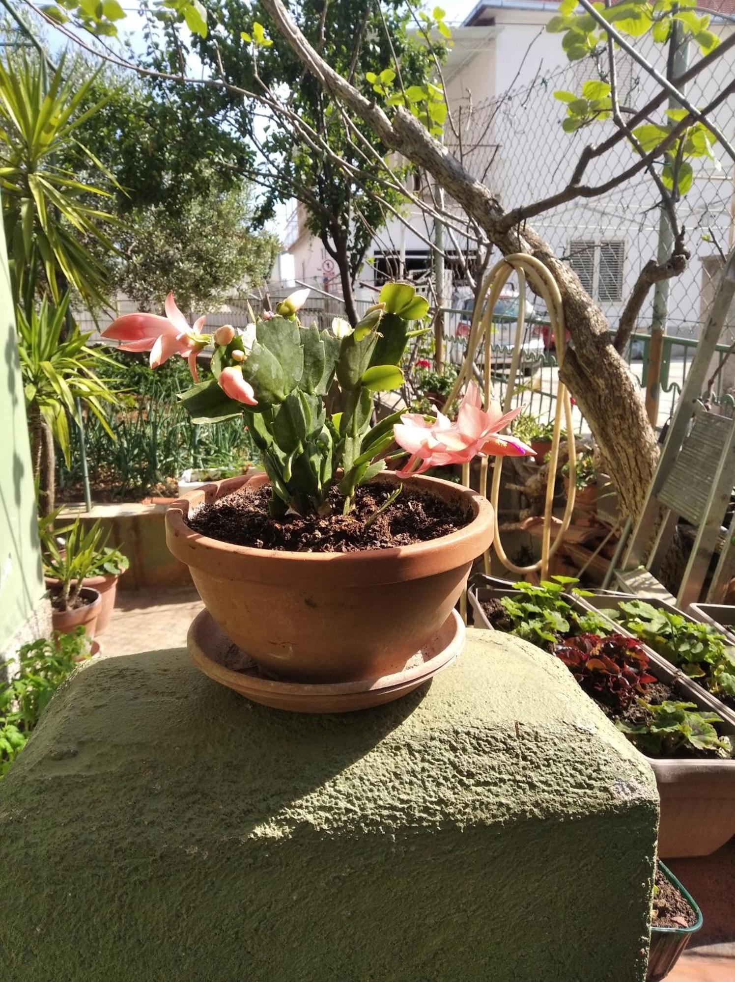 Apartmani Yucca Trogir Buitenkant foto